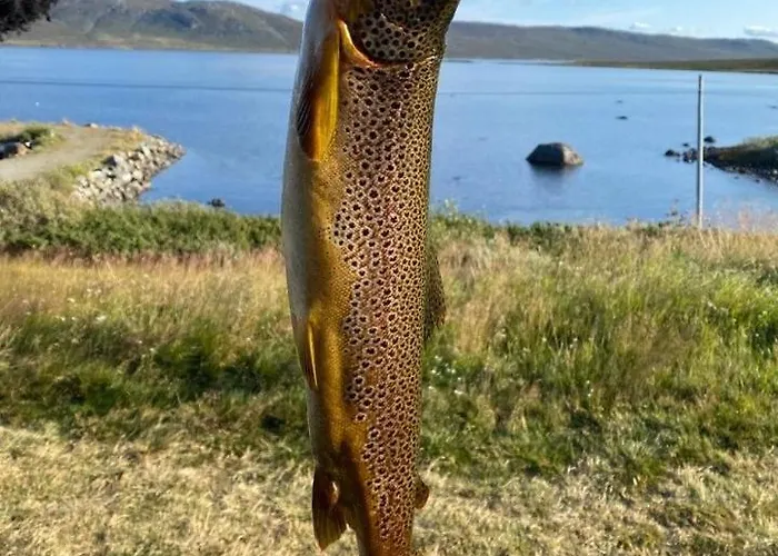 Haugseter Fjellstue As *