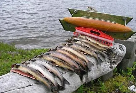 Haugseter Fjellstue As Beitostolen